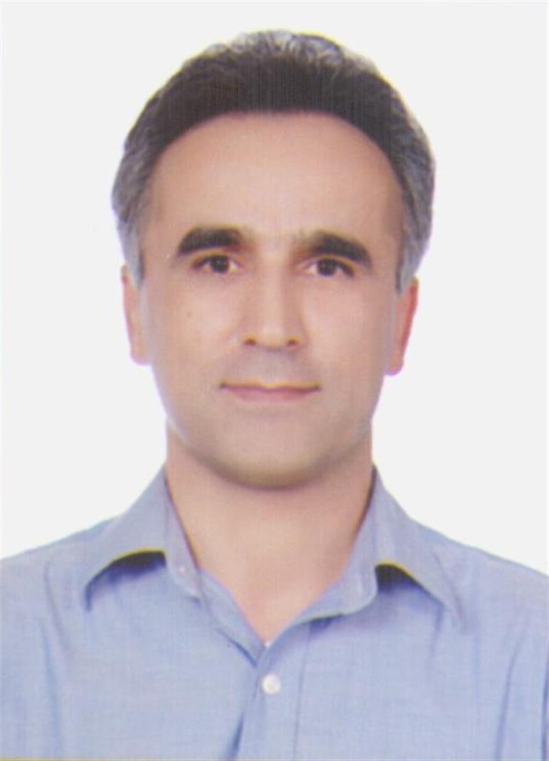 Dr. Ali Malihipour